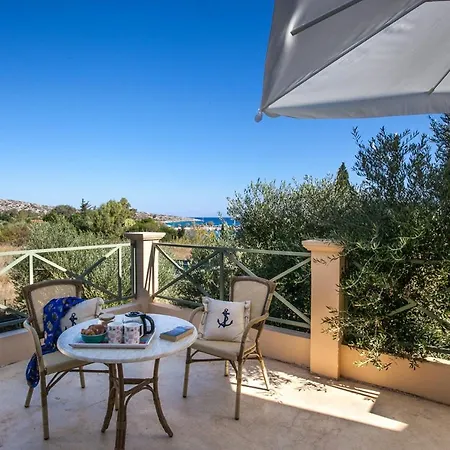 Olive Grove By