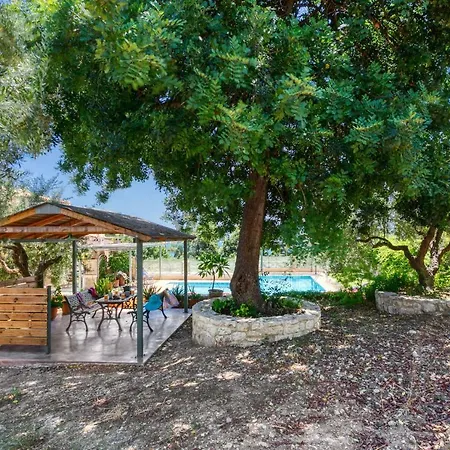 Olive Grove By فيلة *